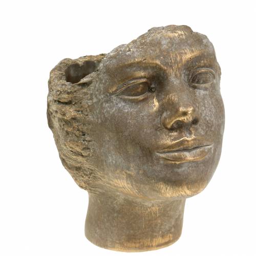 Floristik24 Plant head plant bust gold H20cm