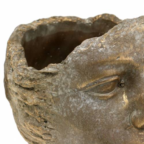 Floristik24 Plant head plant bust gold H20cm