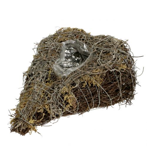 Floristik24 Plant heart made of vines and lichens Nature 25cm x 19cm