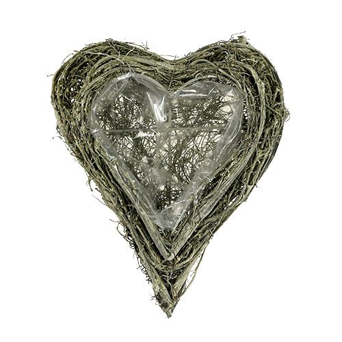 Floristik24 Green heart L25cm B20cm