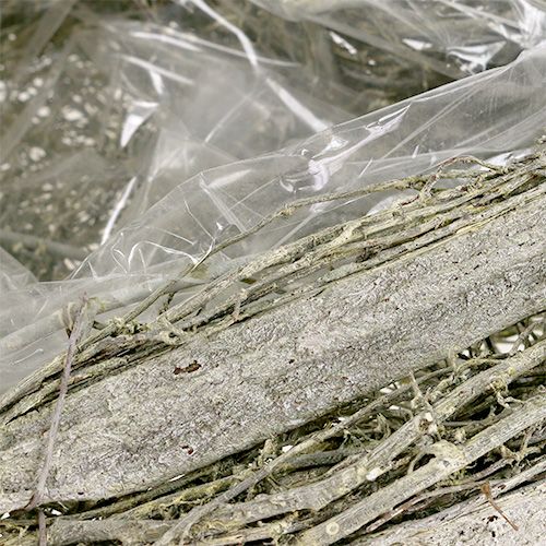 Floristik24 Green heart L25cm B20cm