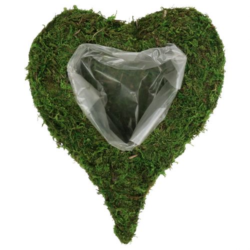 Floristik24 Plant heart moss 28cm x 23cm