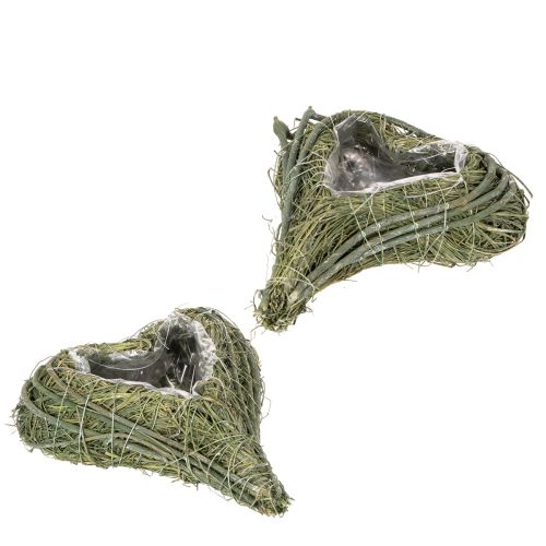 Palm Heart Planter with Plastic Lining 22cm Green Set of 2 buy online | Floristik24.co.uk