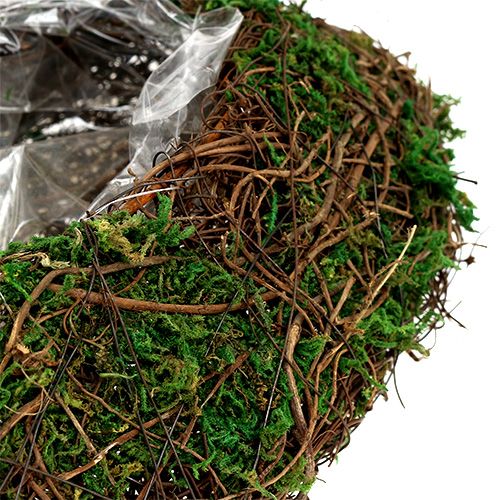 Plant heart vine, moss 32cm x 24cm H8cm
