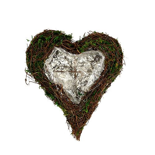 Plant heart vine, moss 22cm x 25cm H7cm