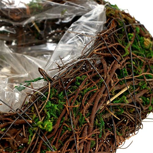 Plant heart vine, moss 22cm x 25cm H7cm