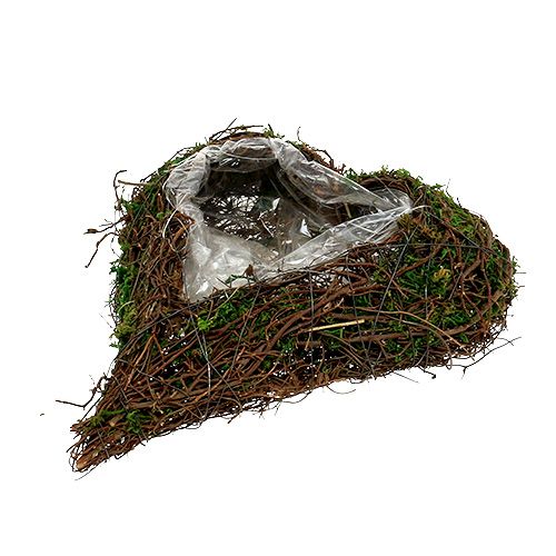 Product Plant heart vine, moss 22cm x 25cm H7cm