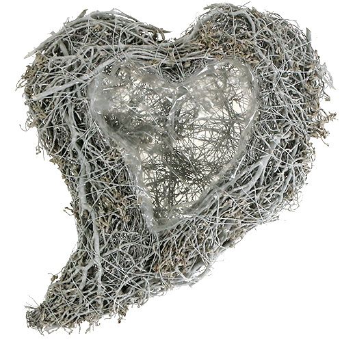 Product Plant Heart Vine White Heart for Planting 38×32×7.5cm