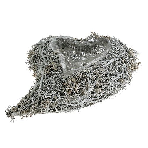 Product Plant Heart Vine White Heart for Planting 38×32×7.5cm