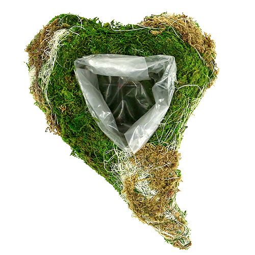 Floristik24 Plant Heart Moss 30cm x 20cm 2pcs