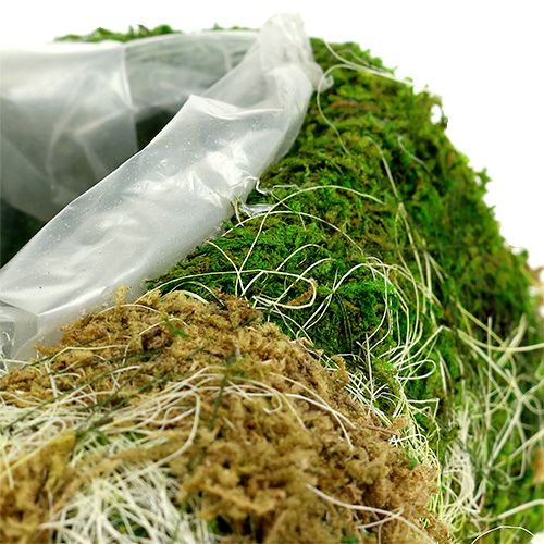 Floristik24 Plant Heart Moss 30cm x 20cm 2pcs