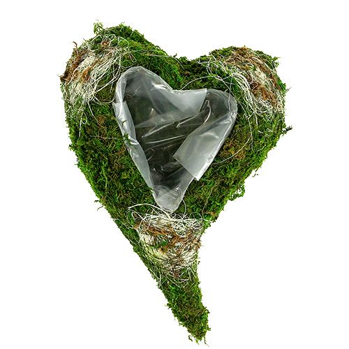 Floristik24 Plant heart moss 35cm x 25cm