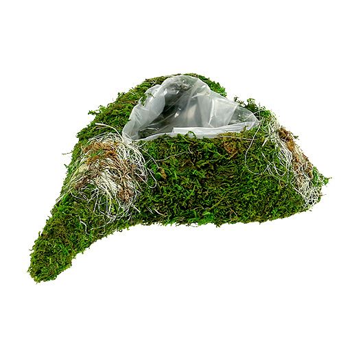 Floristik24 Plant heart moss 35cm x 25cm