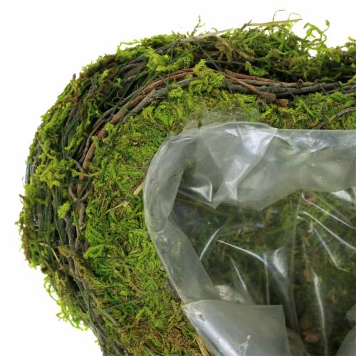 Floristik24 Plant heart vine, moss 22cm x 20cm H7cm