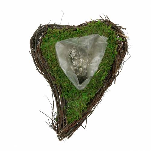 Product Plant heart vine, moss 22cm x 28cm H8cm