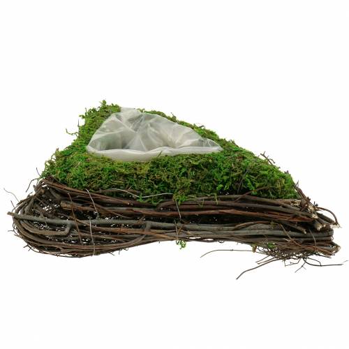 Product Plant heart vine, moss 22cm x 28cm H8cm