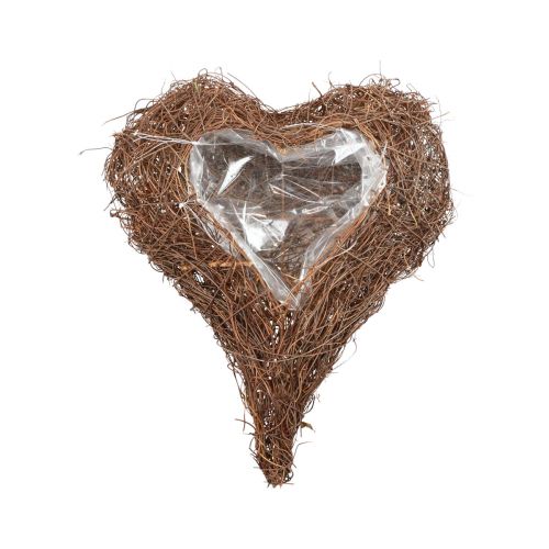 Floristik24 Plant heart vine heart plant bowl natural Salim 21×20.5×6cm