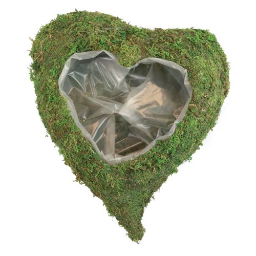 Floristik24 Plant heart moss green plant bowl heart 20x20x5.5cm