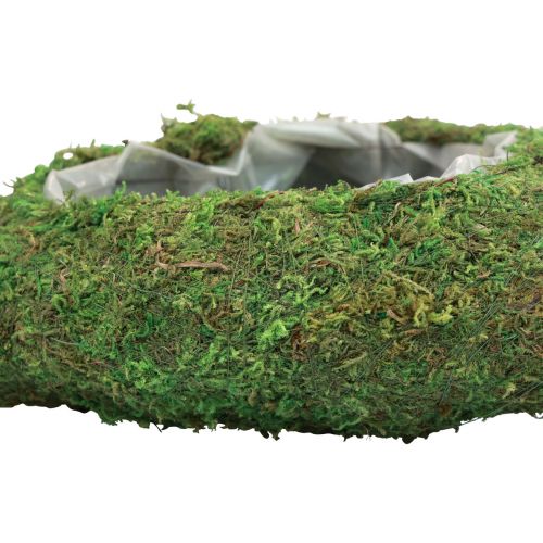 Floristik24 Plant heart moss green plant bowl heart 26×30×8cm