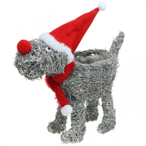 Product Dog for planting, Christmas decoration, plant basket, Advent H30cm L29.5cm