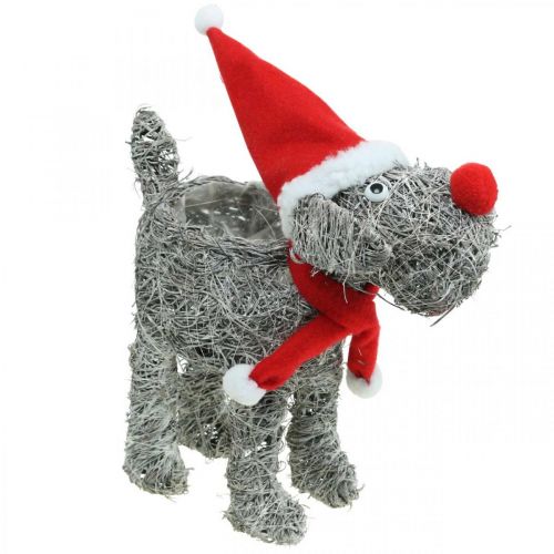 Product Dog for planting, Christmas decoration, plant basket, Advent H30cm L29.5cm
