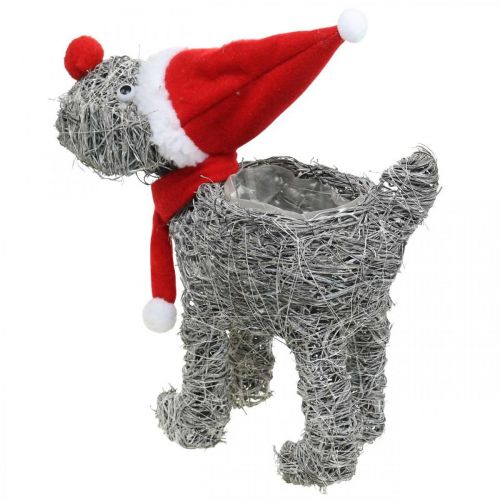 Product Dog for planting, Christmas decoration, plant basket, Advent H30cm L29.5cm