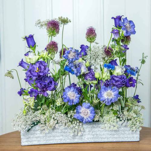 Floristik24 Plant box concrete light gray 40x8cm H6.7cm