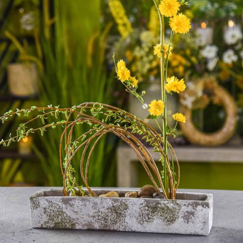 Floristik24 Planter concrete antique look Rectangular flower box 40×8×7cm