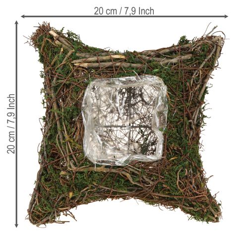 Product Plant cushion vines moss plant bowl natural 20×20×6.5cm