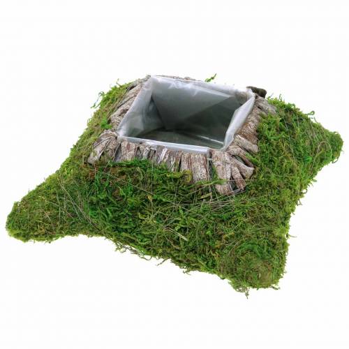 Floristik24 Plant cushion moss, bark 25cm × 25cm