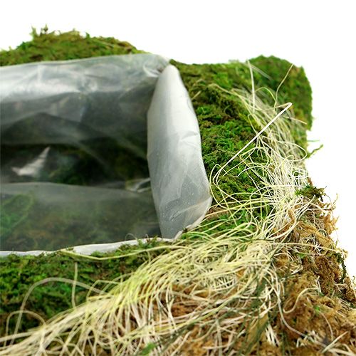 Product Plant cushion moss 25cm x 25cm 2pcs