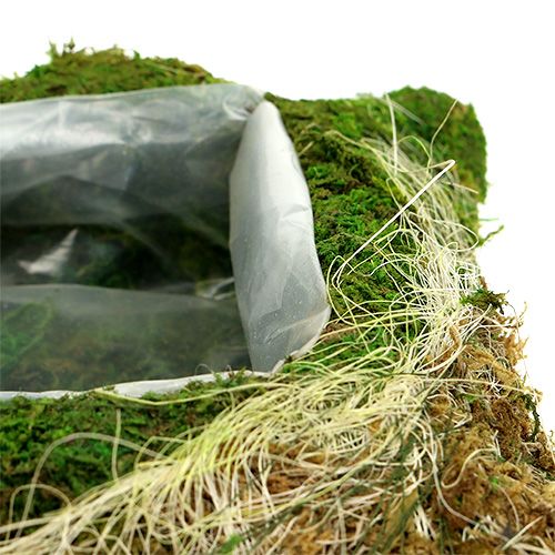 Floristik24 Plant cushion moss 25cm x 25cm 2pcs