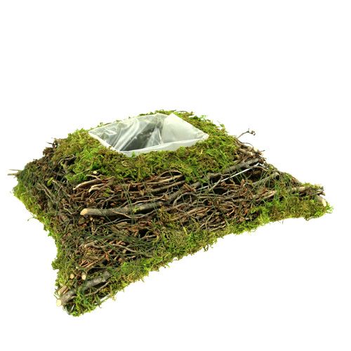 Floristik24 Plant pillow moss with vine 30cm x 30cm