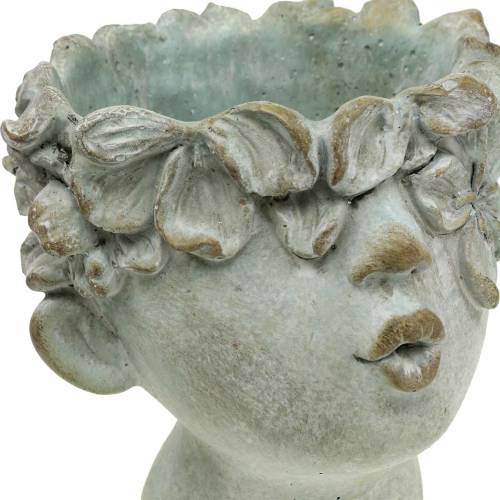 Product Plant head bust stone cast Ø17.5cm H26cm