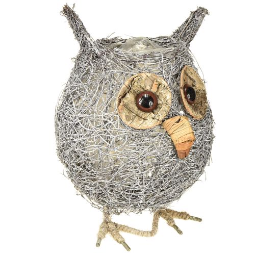 Floristik24 Plant basket owl vine white washed Ø14cm