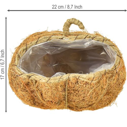 Product Plant basket pumpkin autumn decoration orange Ø22cm H17cm