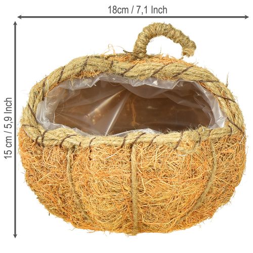 Product Plant basket pumpkin with foil autumn decoration orange Ø18cm H15cm