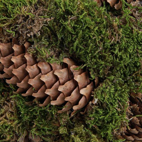 Product Plant basket moss spruce cone basket with handle Ø32cm H42cm