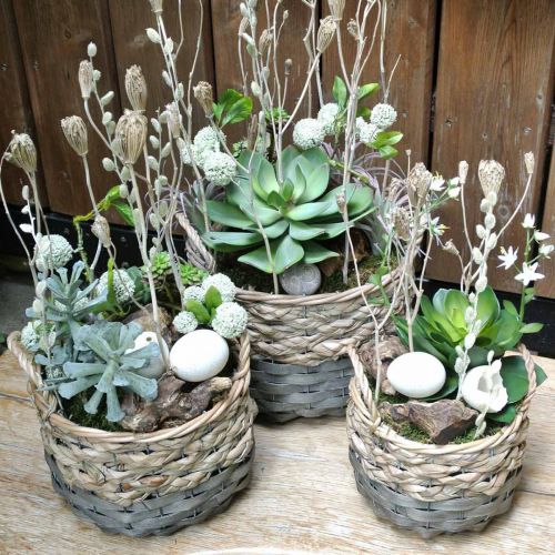 Floristik24 Plant basket, wicker basket for planting, flower basket round natural, grey Ø29/23.5/18cm set of 3