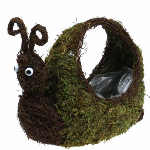 Floristik24 Plant basket snail moss brown 29x13cm H23cm