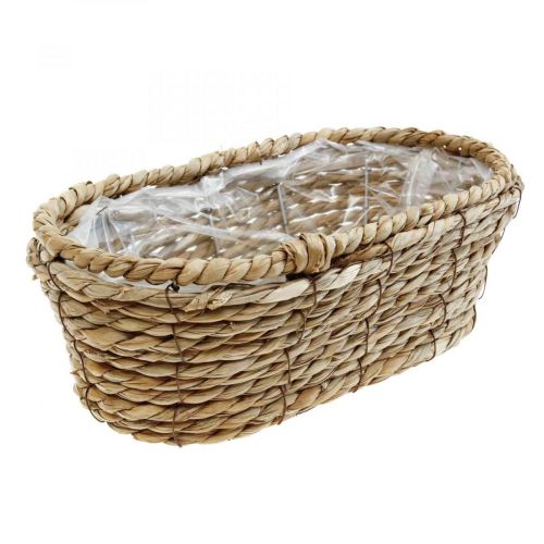 Floristik24 Plant basket seagrass basket oval decorative basket 28×15×10cm