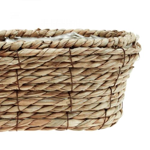 Product Plant basket seagrass basket oval decorative basket 28×15×10cm