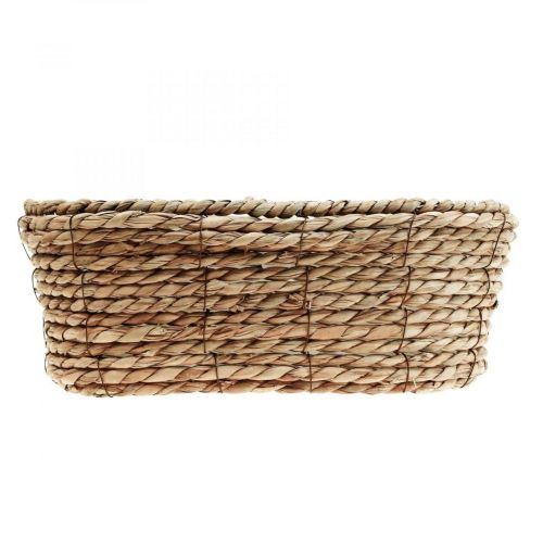 Floristik24 Plant basket seagrass basket oval decorative basket 32×19×12cm