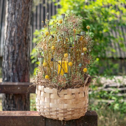 Plant basket planter decorative basket nature Ø18/23/29cm set of 3
