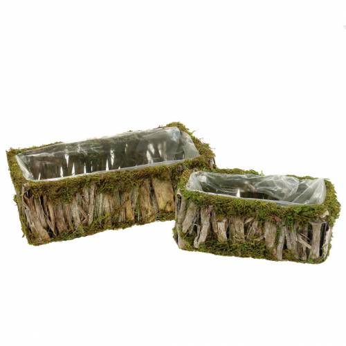 Floristik24 Planting basket square moss, bark 34 × 15.5 / 24.5 × 11cm, set of 2