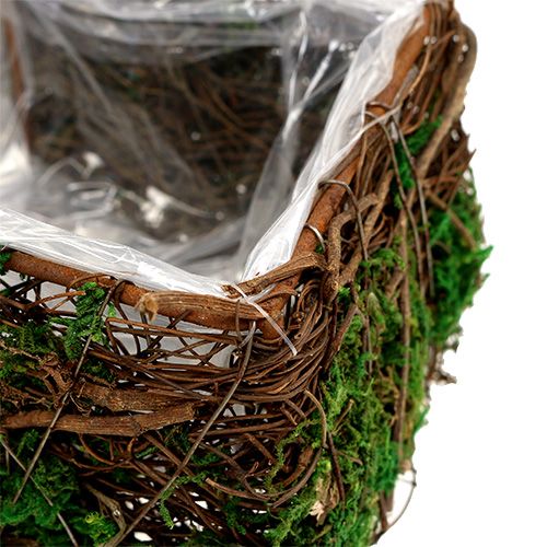 Floristik24 Plant cross set of 2 vine, moss