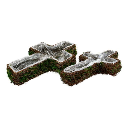Floristik24 Plant cross set of 2 vine, moss