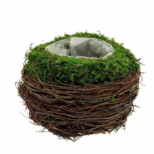 Product Plant bowl rattan, moss Ø16cm H11cm