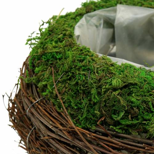 Product Planter bowl rattan, moss Ø19cm H13cm