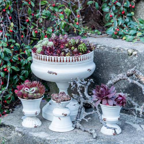 Floristik24 Plant cup chalice antique cream Ø20cm H20cm 1 pc